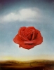Meditative Rose